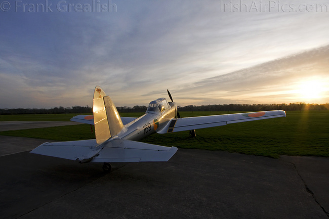Chipmunk 169 Chipmunk 169