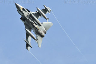 Exercise Crown Condor 2008